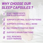 Sleep Capsule Manufacturer - Private Label Chamomile L Theanine Valerian Root GABA Melatonin Calming