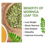 Detox Tea Manufacturer - OEM Natural Supplement Herbal Tea Dried Moringa Leaf Moringa Tea
