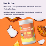 Electrolyte Powder Manufacturer - OEM Pina Colada Zero Sugar Keto Coconut Energy Drink Mix