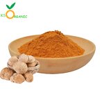 Mushroom Extract Powder Manufacturer - OEM Factory Organic Liquid-solid Extraction Food Grade Artificial 2 Years