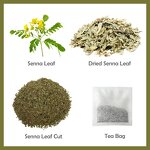 Detox Tea Manufacturer - OEM Fat Burning Herbal Tea Flat Belly Dried Senna Loose Leaf Tea