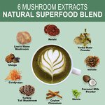 Yerba Mate Latte Manufacturer - OEM Yerba Mate Powder Mushroom Extracts Coconut Milk Instant Latte