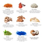 Matcha Powder Manufacturer - Custom Organic MCT Oil Immune Support Superfood Mushroom Matcha Powder