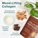 Collagen Peptides Powder Manufacturer - Private Label Hair Skin Chocolate Hydrolyzed Bovine Collagen