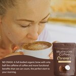 Coffee Creamer Manufacturer - OEM Hot Selling Focus Energy Coconut Milk Collagen Creamer Mushroom Coffee