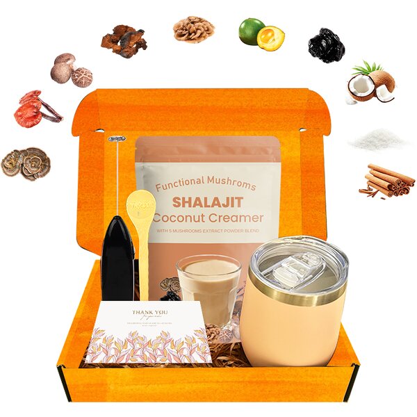 Coffee Creamer Manufacturer - Coffee 5 Organic Adaptogenic Mushrooms Energy Focus Shilajit Coconut Creamer