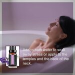 Diffuser Set - 2025 Top 20 100% Pure Natural Lavender Tea Tree 10ml Organic Peppermint