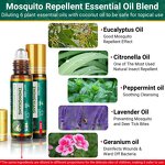 Roll on Oil - Private Label Natural Raw for Bug Bite Fast Relief