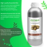 Ligusticum Chuanxiong Oil - 100% Natural for Bulk Supply