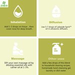 Diffuser Oil Set - Wholesale Top 6 for Car Use Hot Selling