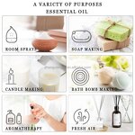 Essential Oil Gift Set - Top 12 for Diffuser Humidifier Massage Skin Hair Care