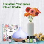 Essential Oil Gift Set - Top 12 for Diffuser Humidifier Massage Skin Hair Care