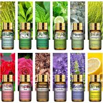 Kanho Top 20 Aromatherapy Diffuser Set 100% Pure Natural Ylang Ylang & Tea Tree Essential Oil 20/10ml Vial Collection