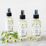 Aromatherapy Set - Zhongxiang Top 20 Ylang Ylang Tea Tree 20/10ml Diffuser