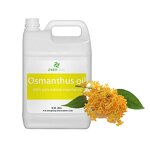 Witch Hazel Oil - 100% Pure Therapeutic Grade for Skincare