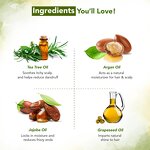 Rosemary Essential Oil - 100% Undiluted for Hair Growth Scalp Massage Anti Hair Loss