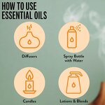 Fruity Essential Oil Set - Premium Pure Natural for Home Diffuser Sweet Orange Lemon Grapefruit