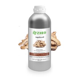 Angelica Root Oil Factory - Private Label 100% Pure Natural for Body Care