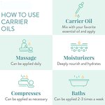 Clary Sage Oil - Wholesale for Skin Care Body Care Diffuser Aromatherapy