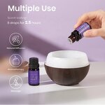 Essential Oil Set - Wholesale Private Label Pure Aromatherapy Raw