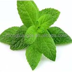 Rose Linen Spray - Pure Rose Essential Oil for Relaxation Sleep Stress