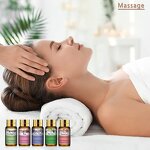 Essential Oil Set - 2025 Hot Sale Private Label 6 Organic Lavender Tea Tree with Gift Box