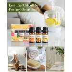 Massage Oil Set - Bulk Aromatherapy Lavender for Private Label Wholesale
