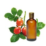 Nasal Inhaler - Plant Extract Aromatherapy 2 in 1 for Nose Congestion Refresh