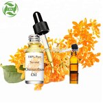 Witch Hazel Oil - 100% Pure Therapeutic Grade for Skincare