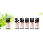 Essential Oil Set - 6 Pack 100% Pure Natural Therapeutic Grade Gift Set
