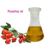 Fragrance Oil