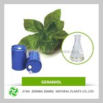 Ginger Oil Manufacturer - Pure and Natural Top Quality for Body Care