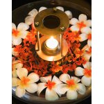 Lavender Essential Oil - 100% Pure Therapeutic Grade for Aromatherapy Massage