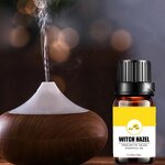 Aloe Vera Gel Manufacturer - 100% Pure for Face Body Hair Bulk Price