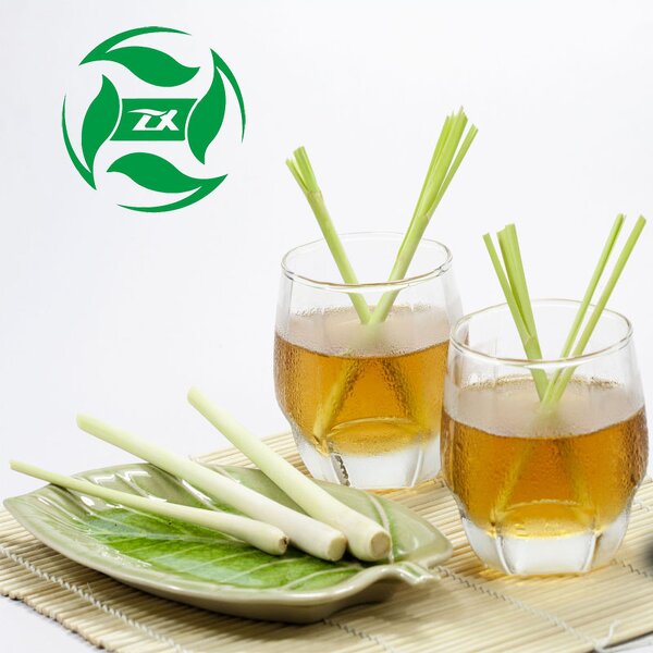 Bug Spray - Natural Mosquito Repellent Spray with Citronella Lemon Eucalyptus