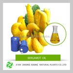 Ginger Essential Oil - Supercritical CO2 Extracted for Massage Hair Body Care