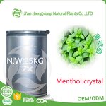 Camellia Oil - 100% Organic Nature for Skin Care Hair Care