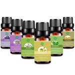 Bergamot Essential Oil - Wholesale 100% Pure Plants Extract at Bulk Price