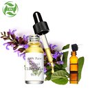 Bergamot Essential Oil - Wholesale 100% Pure Plants Extract at Bulk Price