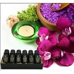 Essential Oil Set - 6 Pack 100% Pure Natural Therapeutic Grade Gift Set