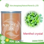 Camellia Oil - 100% Organic Nature for Skin Care Hair Care