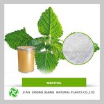 Camellia Oil - 100% Organic Nature for Skin Care Hair Care