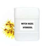 Aloe Vera Gel Manufacturer - 100% Pure for Face Body Hair Bulk Price