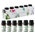 Essential Oil Set - 6 for Diffuser Humidifier Aromatherapy Private Label