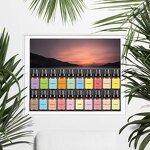 Fruity Essential Oil Set - Premium Pure Natural for Home Diffuser Sweet Orange Lemon Grapefruit