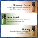 Essential Oil Set - Aromatherapy Hot Selling for Candle Making Raw Materials