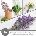 Essential Oil Set - Wholesale Private Label Pure Aromatherapy Raw