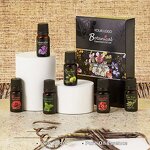 Diffuser Set - 2025 Wholesale Private Label for Sleep 100% Pure Natural Travel Gift Set