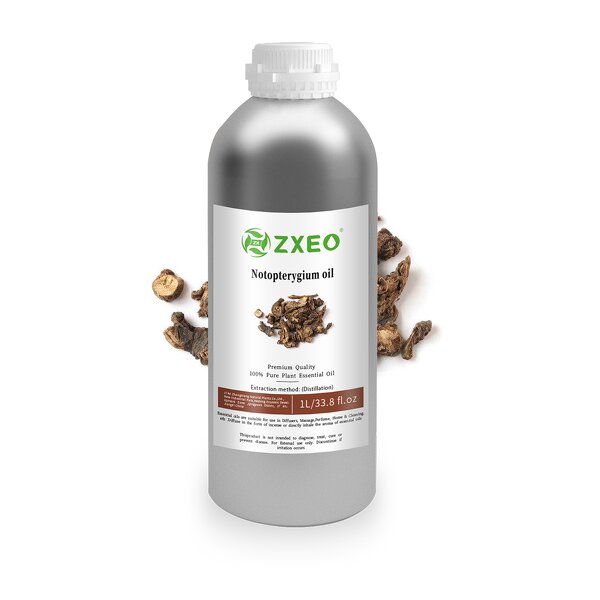 Notopterygium Oil - High Quality Pure Natural for Health Care Products Wholesale