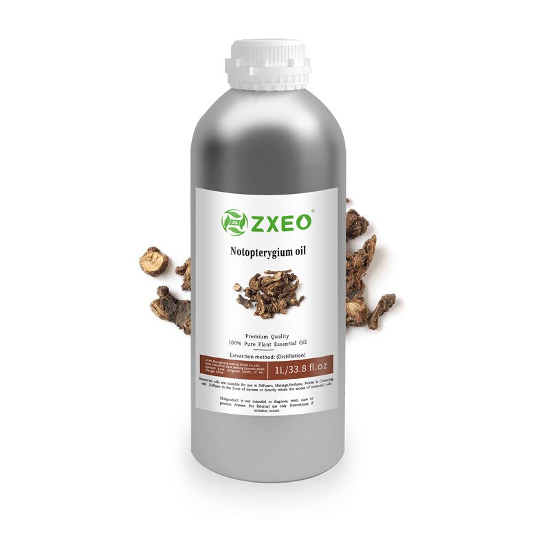 Notopterygium Oil - High Quality Pure Natural for Health Care Products Wholesale